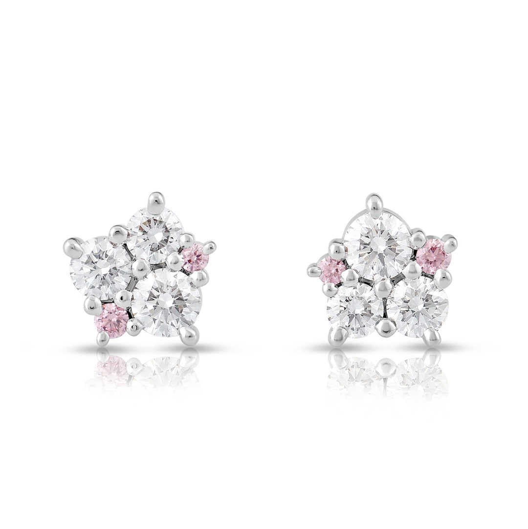 Sirocco Stud Earrings